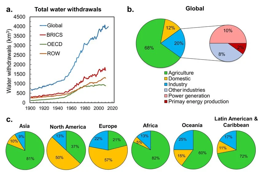 AI Drinking the World Dry?